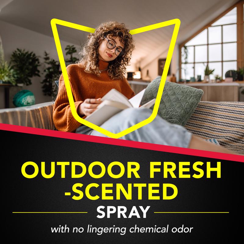 Raid Outdoor Fresh Ant and Roach Killer Aerosol 17.5 oz