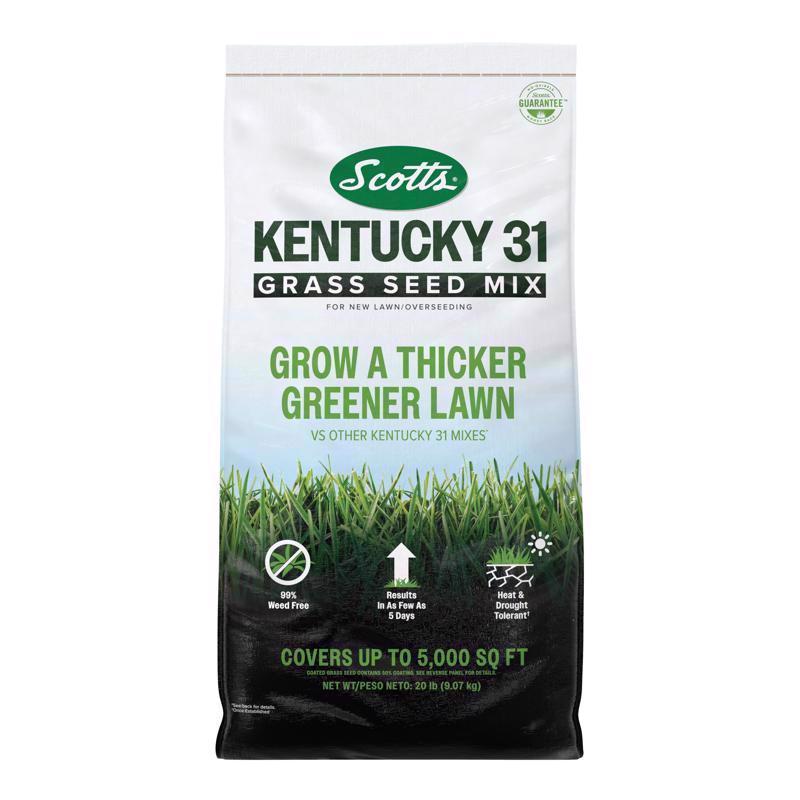 Scotts Kentucky 31 Full Sun/Light Shade Grass Seed Mix