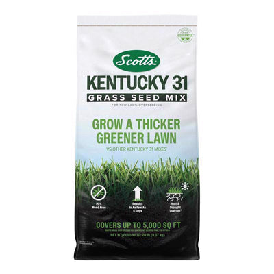 Scotts Kentucky 31 Full Sun/Light Shade Grass Seed Mix