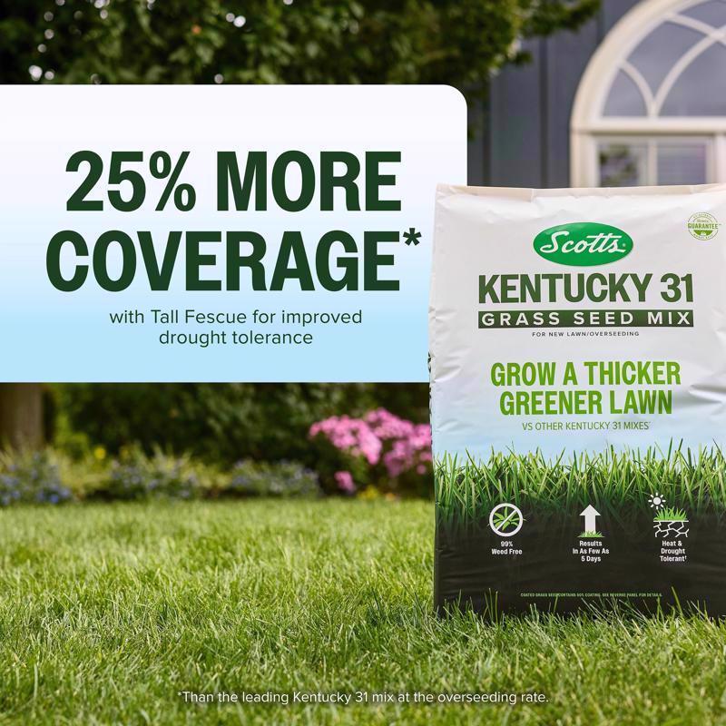Scotts Kentucky 31 Full Sun/Light Shade Grass Seed Mix