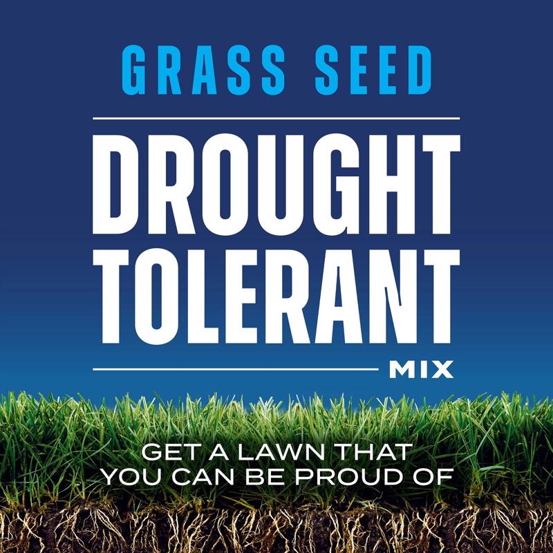 Scotts Mixed Sun or Shade Grass Seed 4 lb