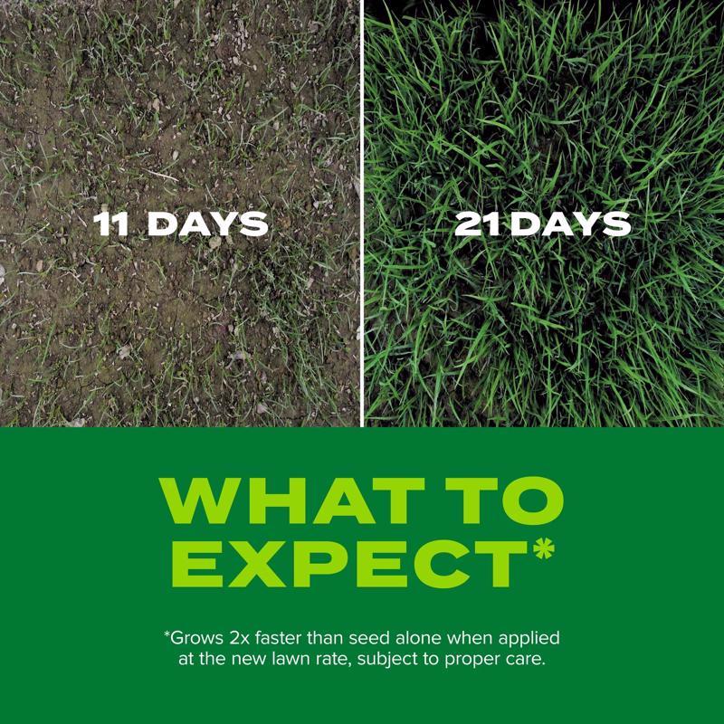 Scotts Turf Builder Tall Fescue Grass Sun or Shade Grass Seed and Fertilizer