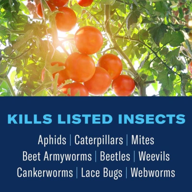 BioAdvanced 3 in 1 Garden Insect Spray Concentrate 32 oz.