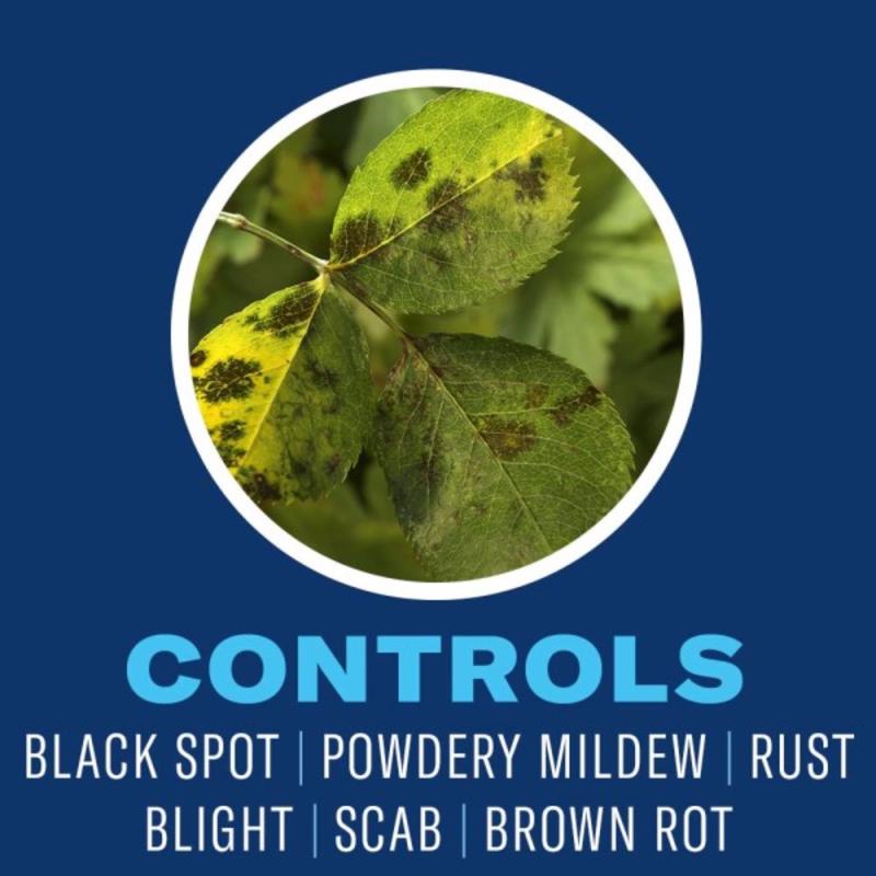 BioAdvanced 3 in 1 Garden Insect Spray Concentrate 32 oz.