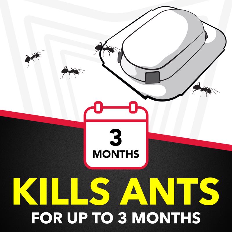 Raid Ant Bait 4 pk