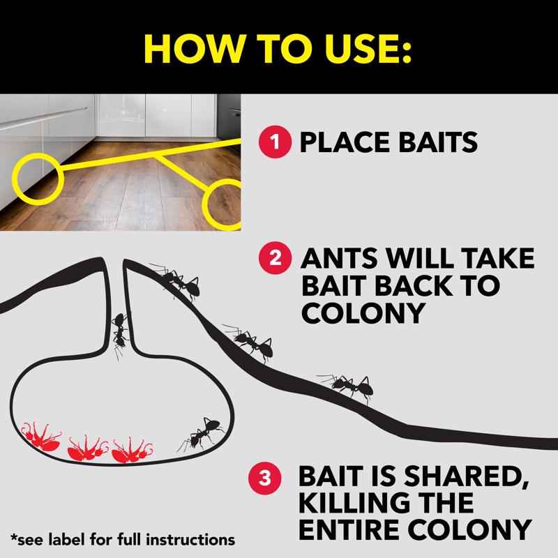 Raid Ant Bait 4 pk