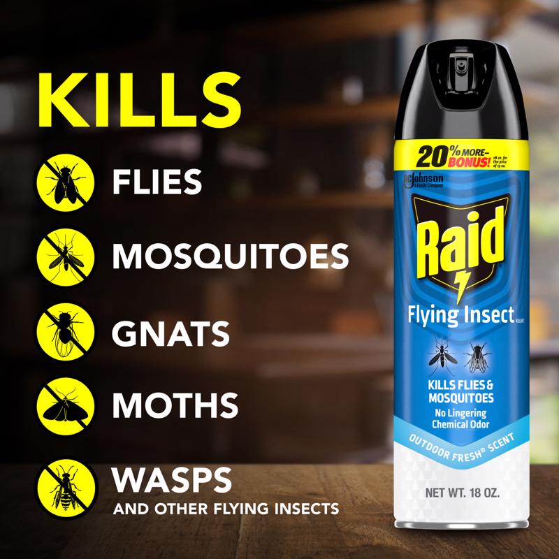 Raid Insect Killer Aerosol 18 oz
