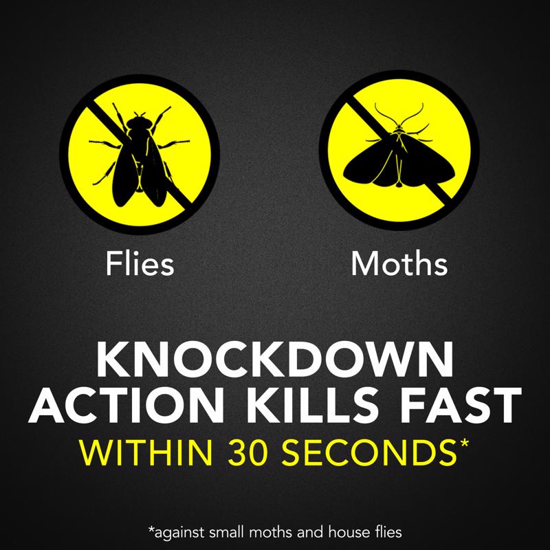 Raid Insect Killer Aerosol 18 oz