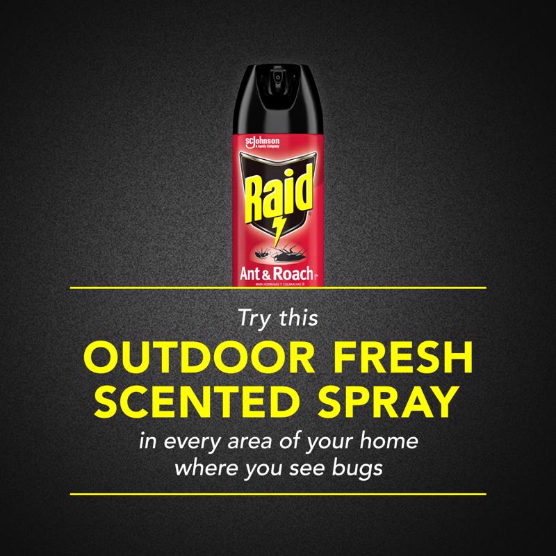 Raid Insect Killer Aerosol 17.5 oz
