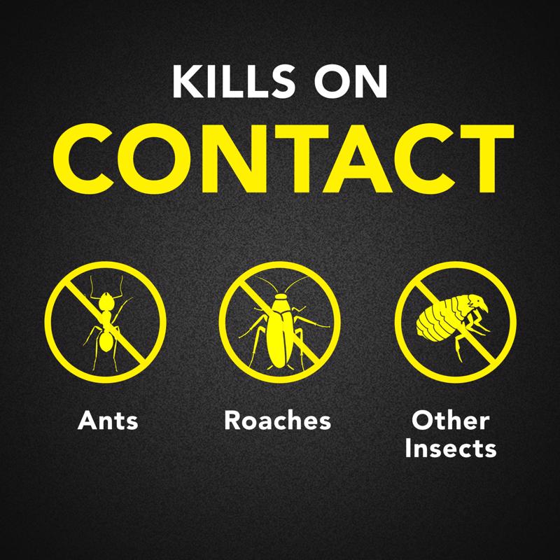 Raid Insect Killer Aerosol 17.5 oz
