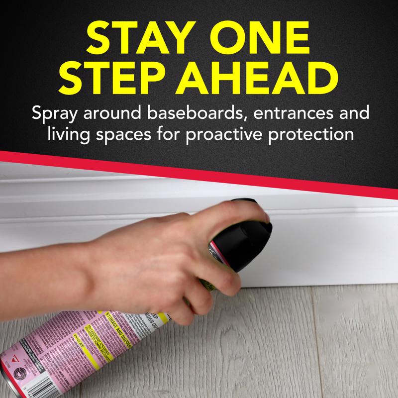 Raid Insect Killer Aerosol 17.5 oz