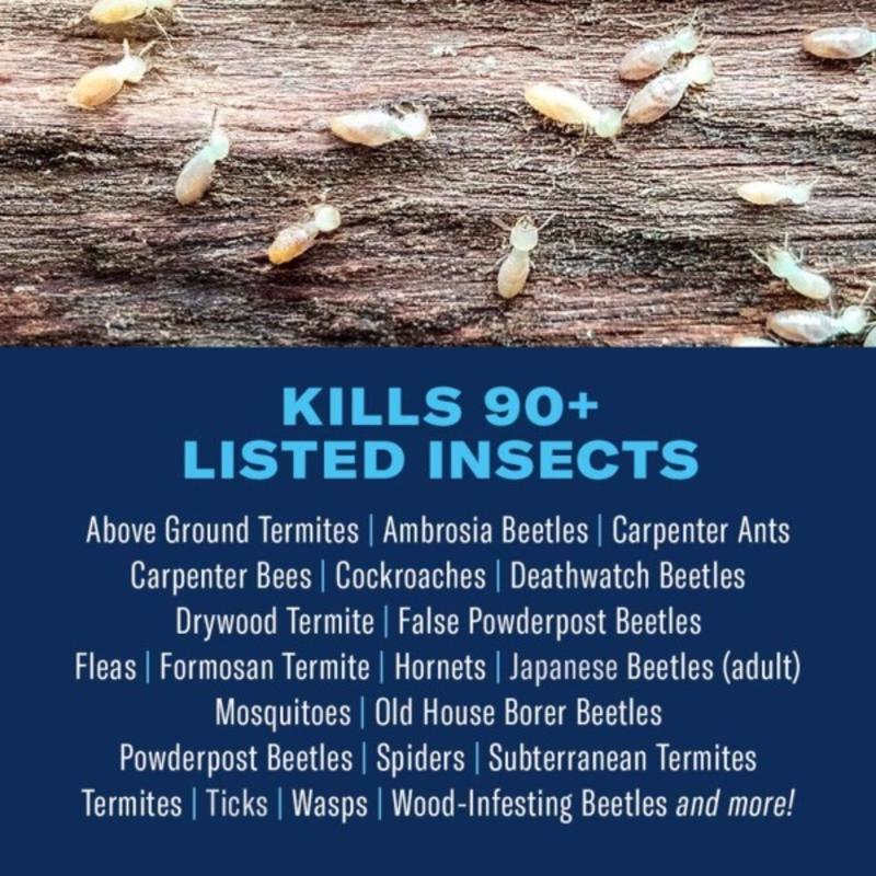 BioAdvanced Carpenter Ant & Termite Insect Killer Liquid Concentrate 40 oz