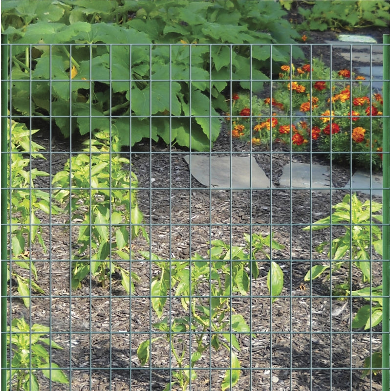 Garden Craft 36 in. H X 50 ft. L Steel Welded 2 x 3 in.