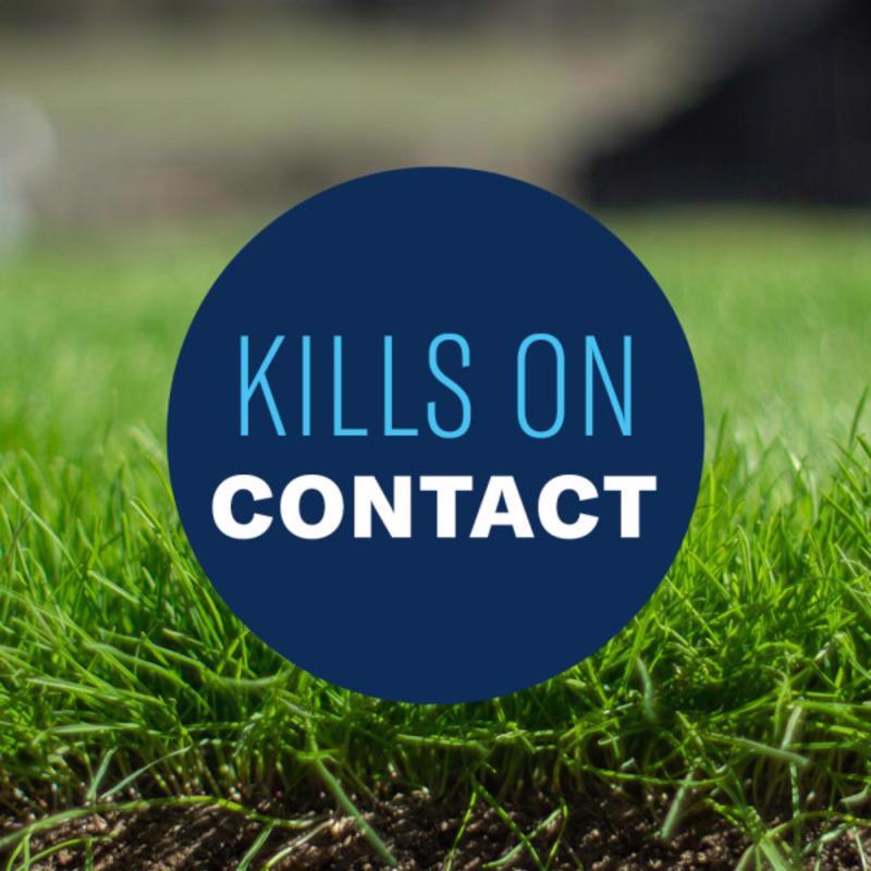 BioAdvanced All-In-One Weed and Crabgrass Killer Concentrate 32 oz