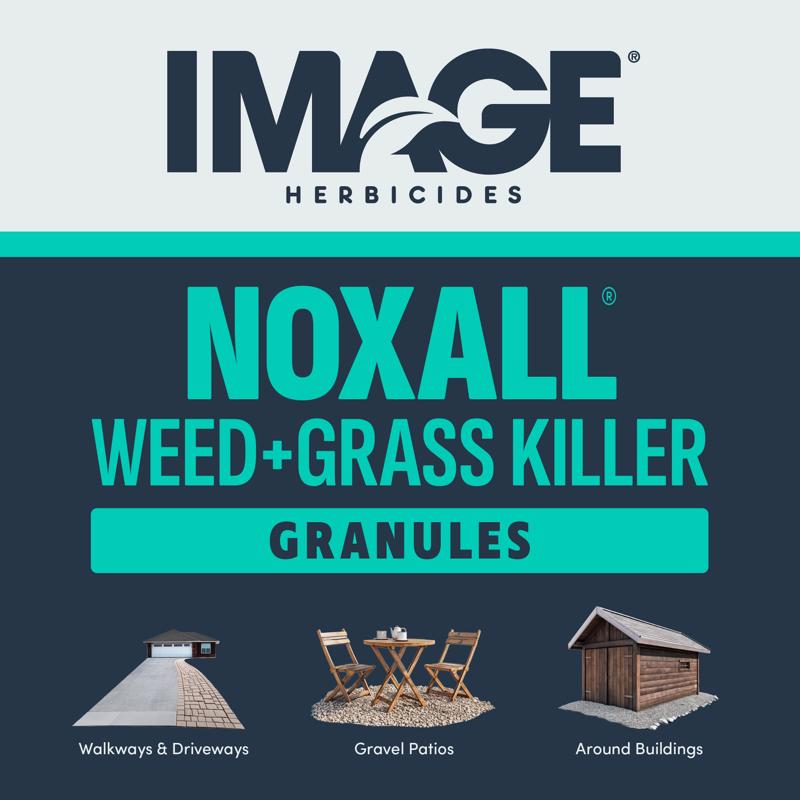 Lilly Miller Image Vegetation Killer Granules 10 lb