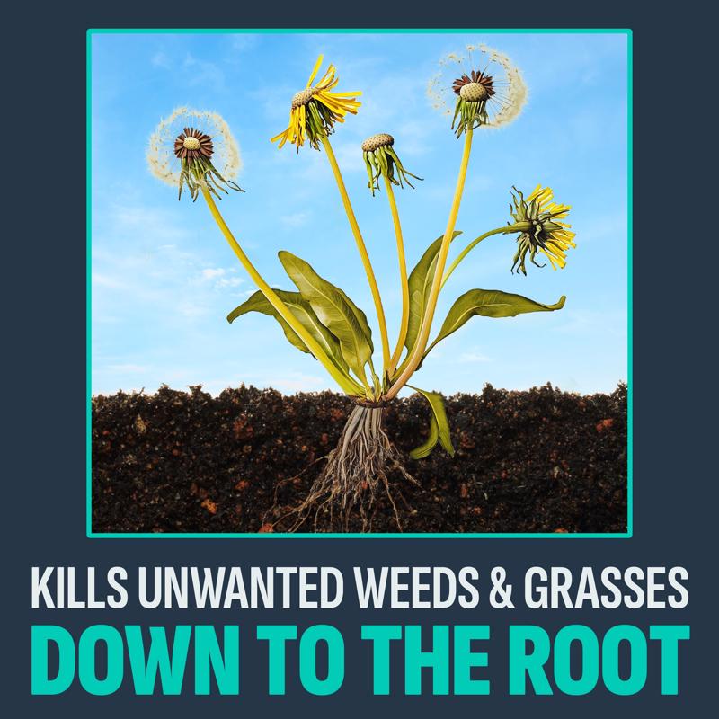 Lilly Miller Image Vegetation Killer Granules 10 lb
