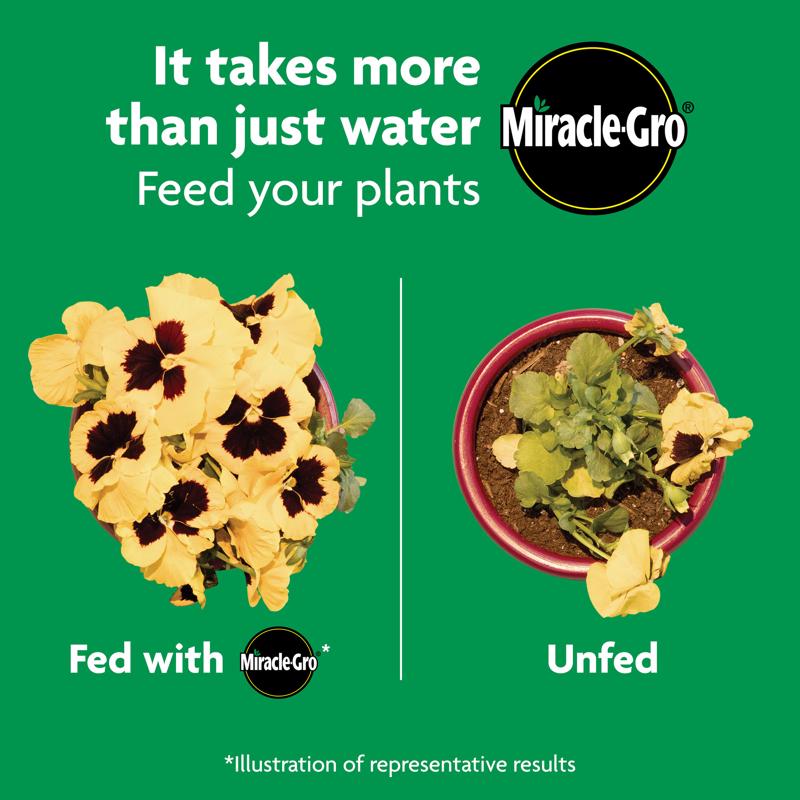 Miracle-Gro Shake 'n Feed Granules Plant Food 8 lb