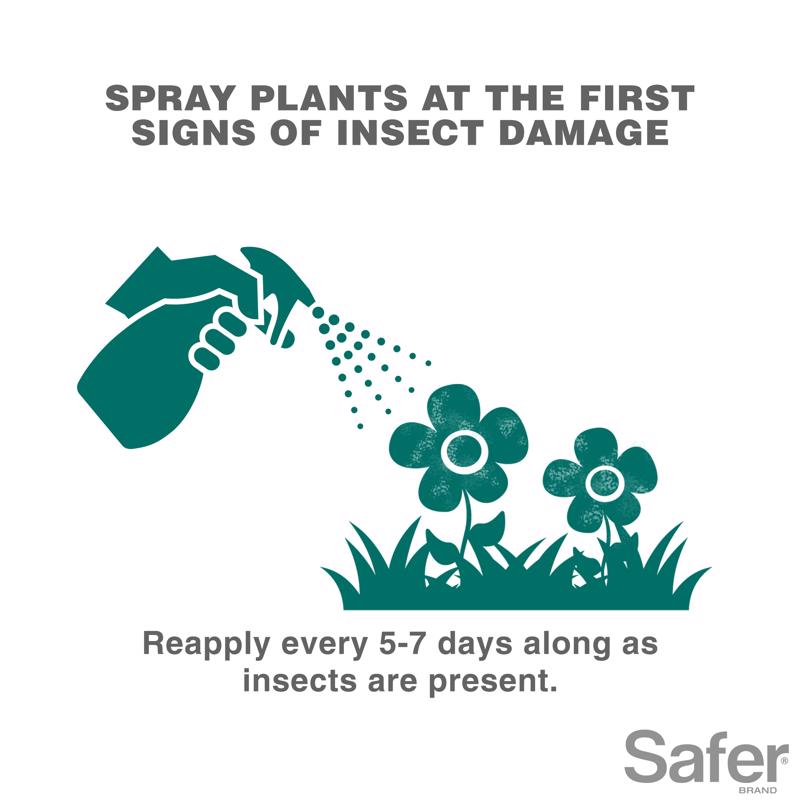 Safer Brand Organic Insect Killing Soap Liquid 16 oz