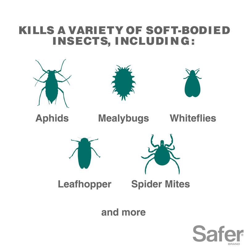 Safer Brand Organic Insect Killing Soap Liquid 16 oz