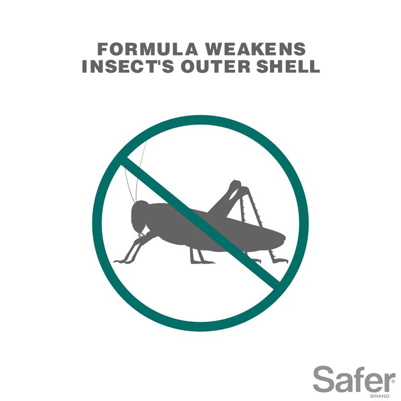 Safer Brand Organic Insect Killing Soap Liquid 16 oz
