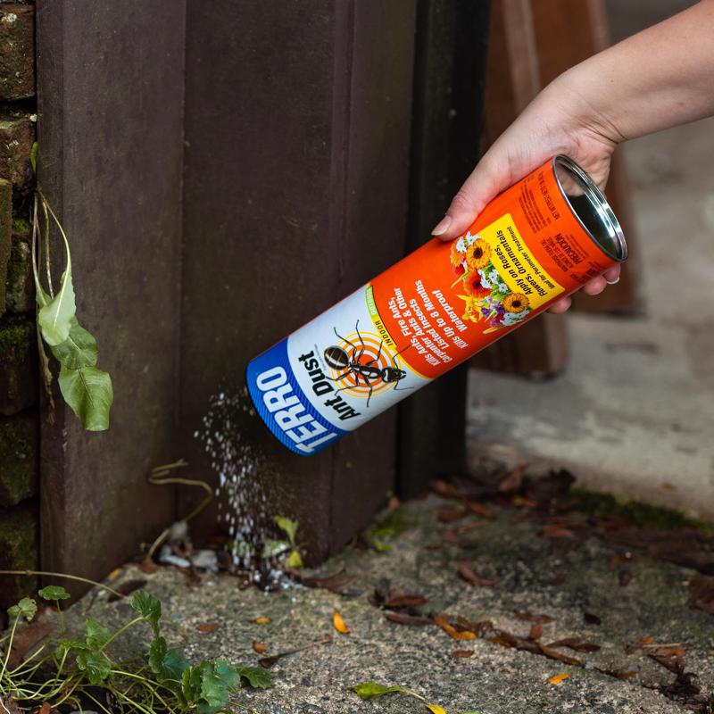 TERRO Ant Killer Dust 1 lb