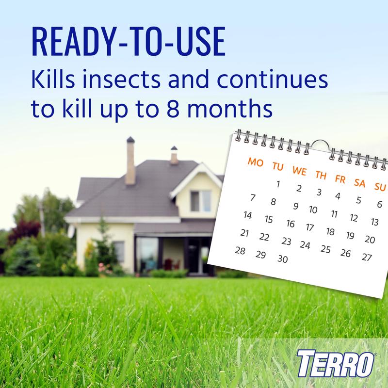 TERRO Ant Killer Dust 1 lb