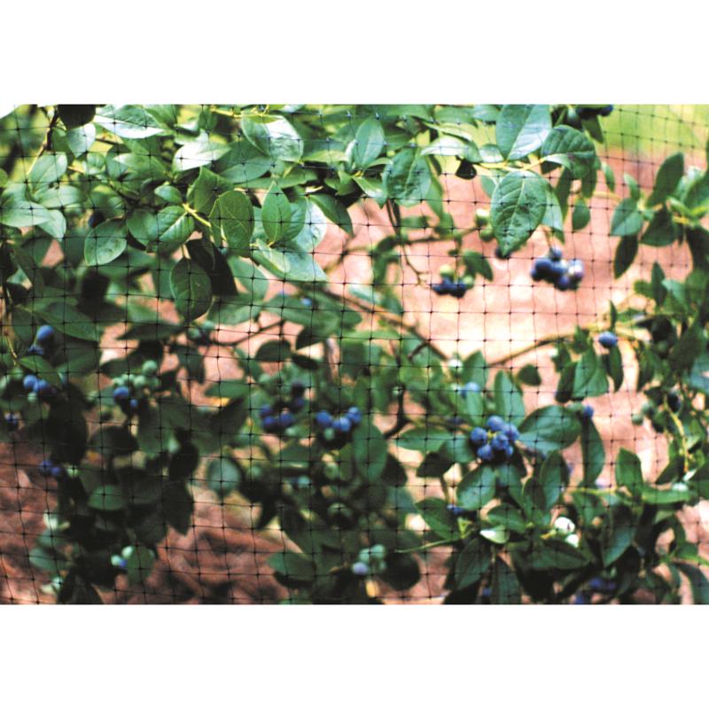 Garden Craft 84 in. H X 100 ft. L Plastic Netting .75 in in.