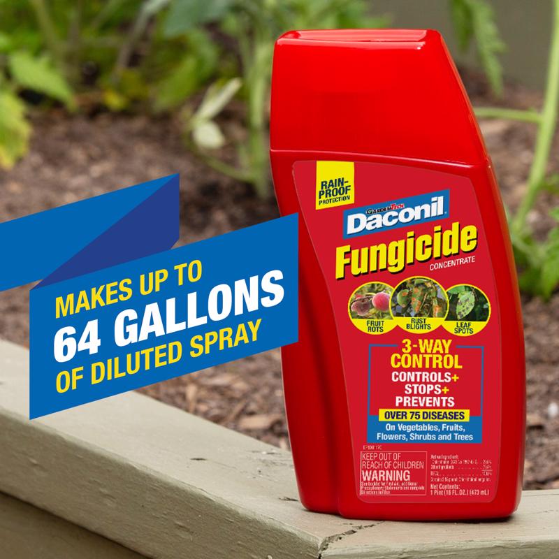 GardenTech Daconil Concentrated Liquid Fungicide 16 oz