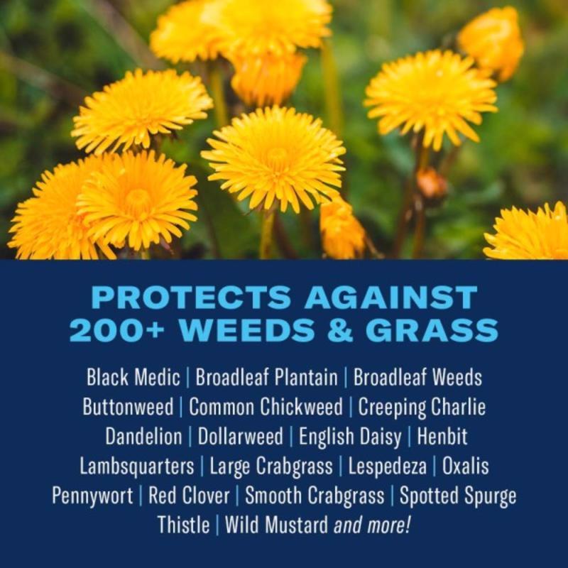 BioAdvanced All-In-One Weed and Crabgrass Killer RTU Liquid 1 gal