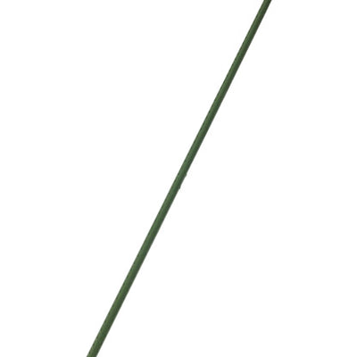 Gardener's Blue Ribbon 96 in. H Green Plastic Plant Stake