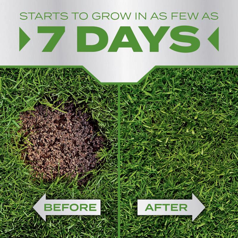 Scotts PatchMaster Tall Fescue Grass Sun or Shade Grass Spot Repair Mix 4.75 lb