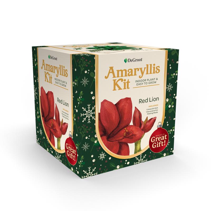 DeGroot Amaryllis Gift Box Bulb Kit