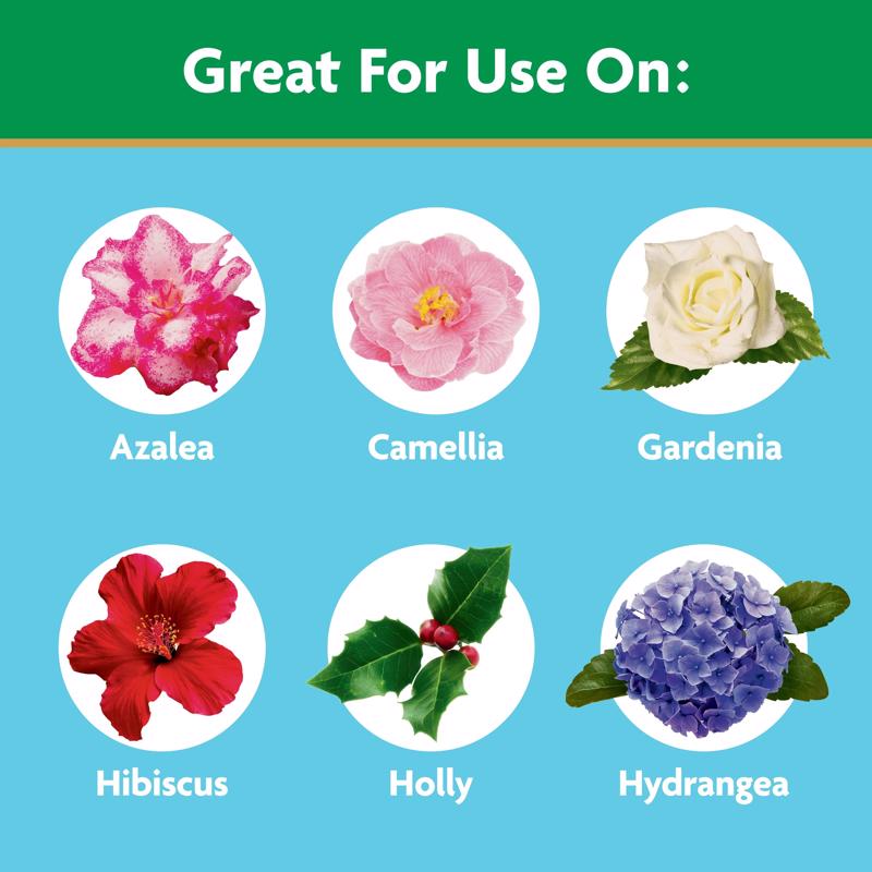 Miracle-Gro Powder Azalea, Camellia, Rhododendron Plant Food 1.5 lb