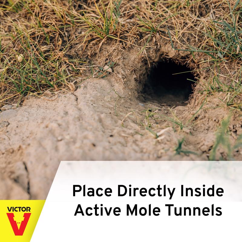 Victor Out O Sight Medium Pincher Animal Trap For Moles