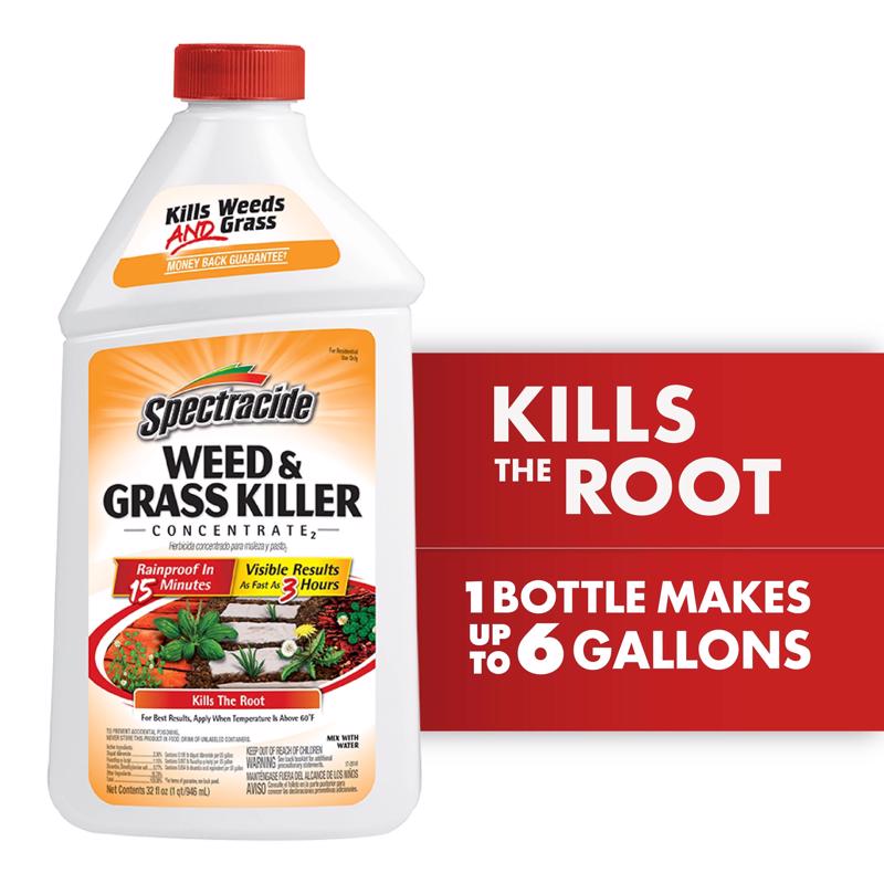 Spectracide Weed and Grass Killer Concentrate 32 oz