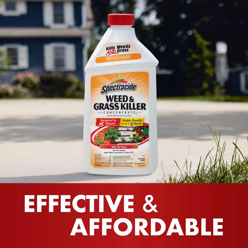 Spectracide Weed and Grass Killer Concentrate 32 oz