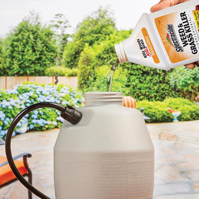 Spectracide Weed and Grass Killer Concentrate 32 oz