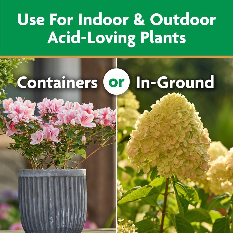 Miracle-Gro Powder Acid-Loving Plants of Azalea, Camellia, Rhododendron Plant Food 5 lb