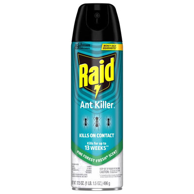Raid Ant Killer Aerosol 17.5 oz