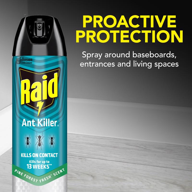 Raid Ant Killer Aerosol 17.5 oz