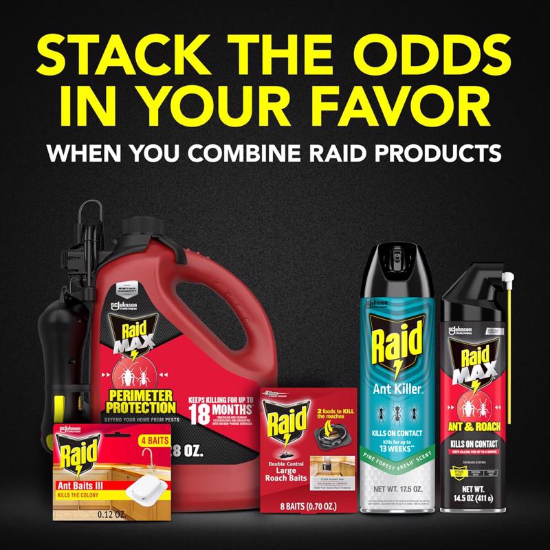 Raid Ant Killer Aerosol 17.5 oz