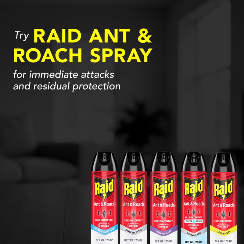 Raid Ant Killer Aerosol 17.5 oz