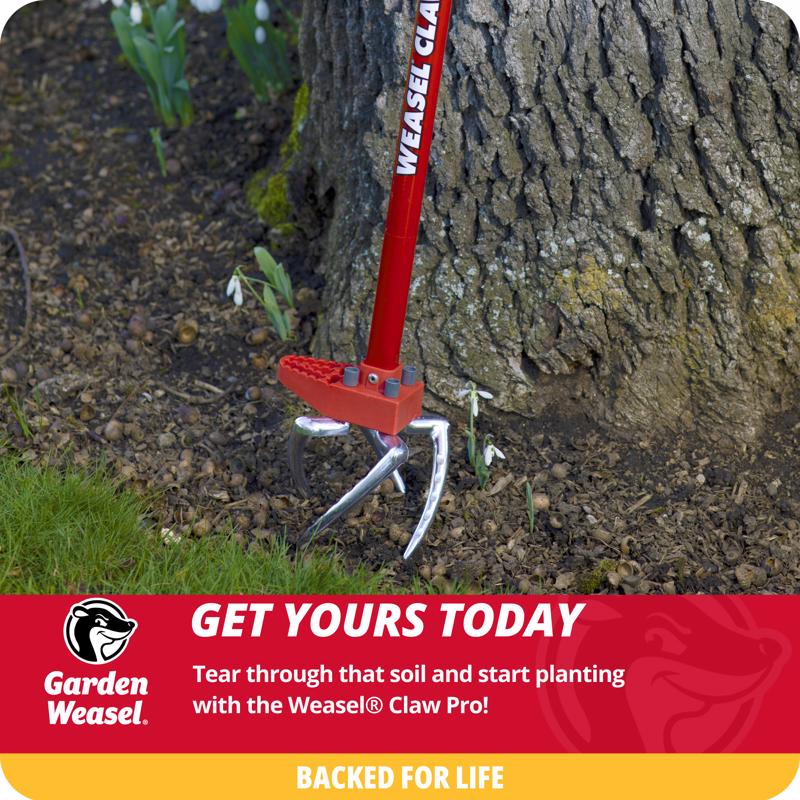 Garden Weasel Claw Pro 4 Tine Steel Hand Cultivator 38 in. Steel Handle