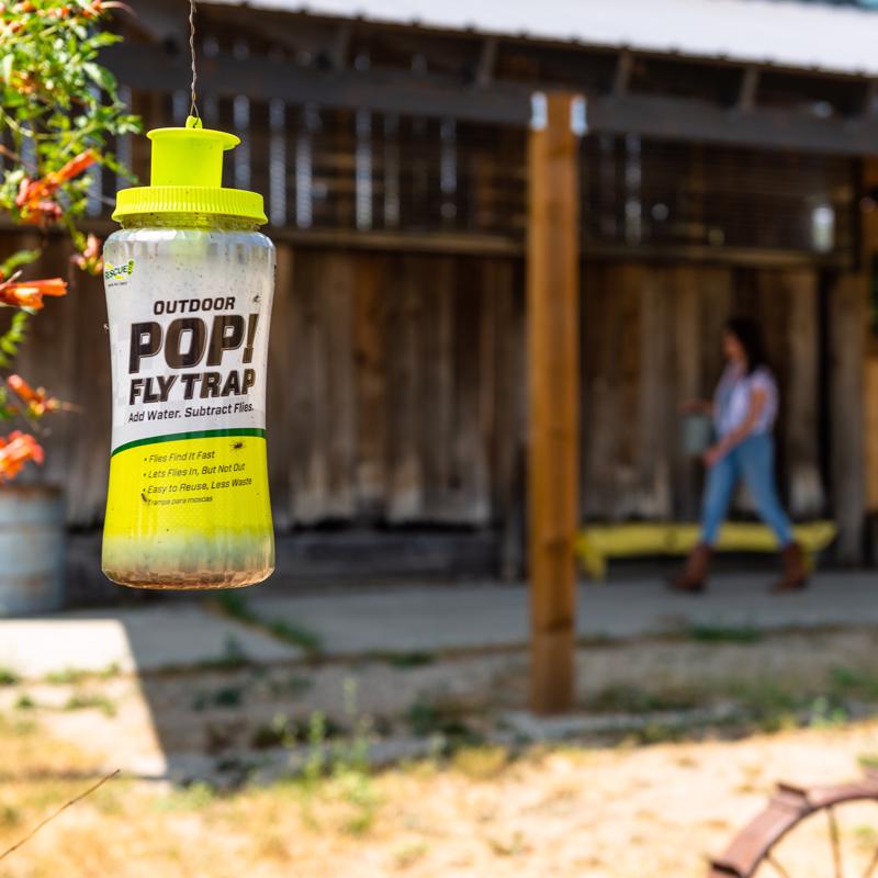 RESCUE! POP Fly Trap