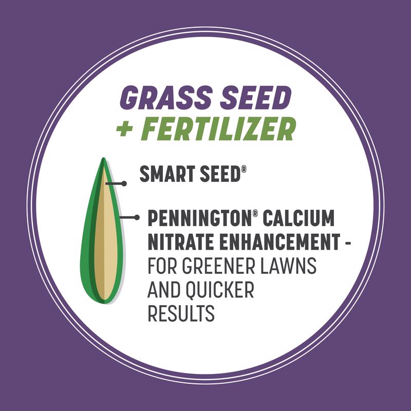 Pennington Smart Seed Mixed Dense Shade Grass Seed and Fertilizer 3 lb