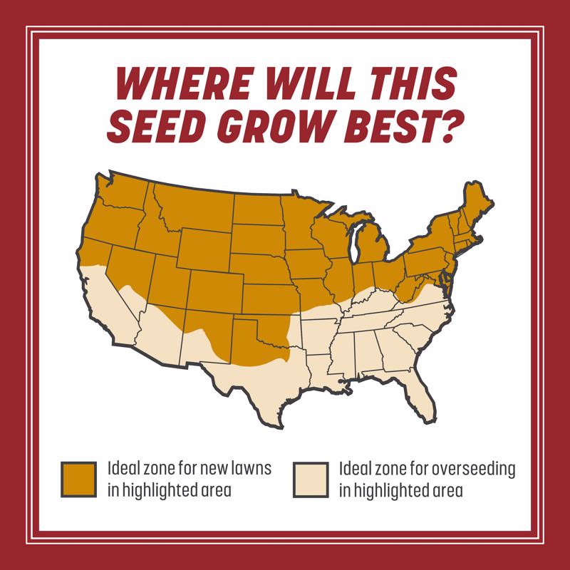 Pennington Smart Seed Perennial Ryegrass Sun or Shade Grass Seed and Fertilizer 3 lb