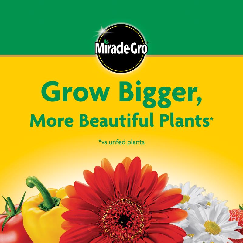Miracle-Gro Granules Tomato, Tulips, Strawberries Plant Food 8 oz