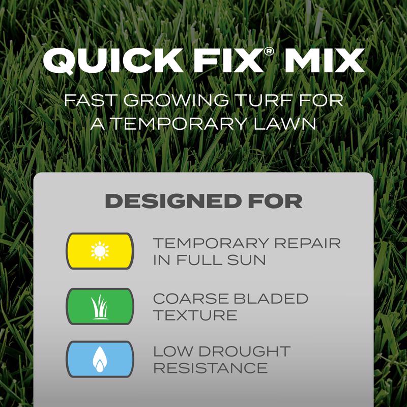 Scotts Turf Builder Mixed Full Sun Grass Seed 3 lb