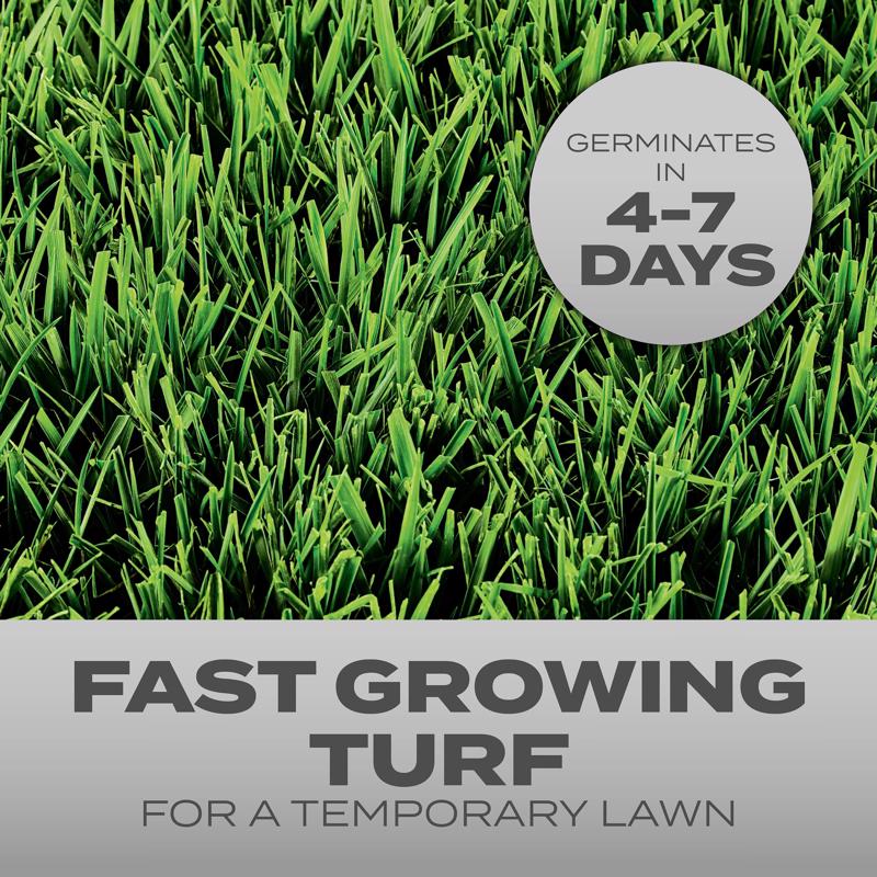 Scotts Turf Builder Mixed Full Sun Grass Seed 3 lb