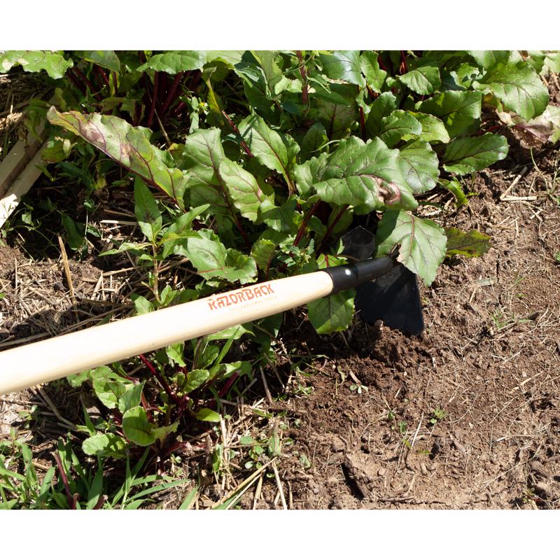 Razor-Back Steel Beet/Nursery Hoe 54 in. Wood Handle